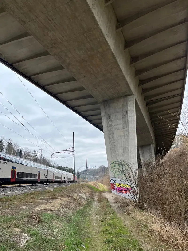Man sieht einen Zug vorbeifahren.
